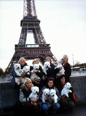 et westi na Euro Dog Show 2002 v Pai